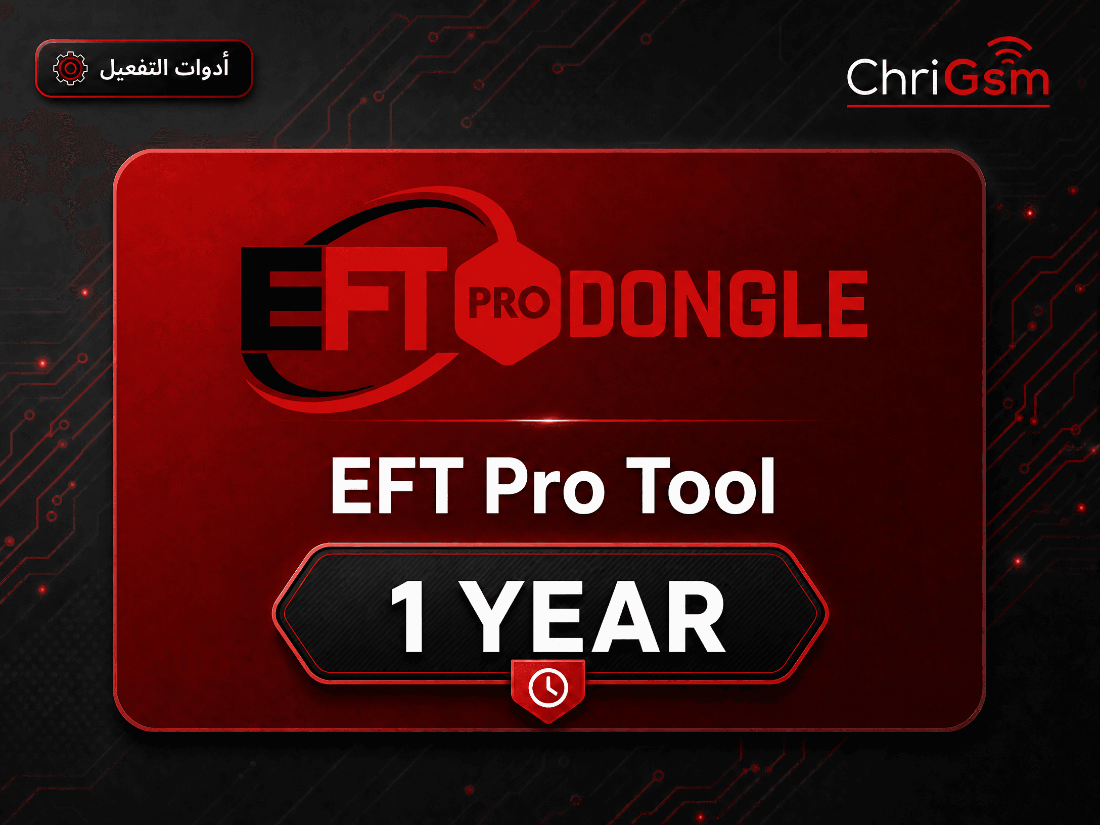 صورة EFT Pro Tool — تفعيل سنة